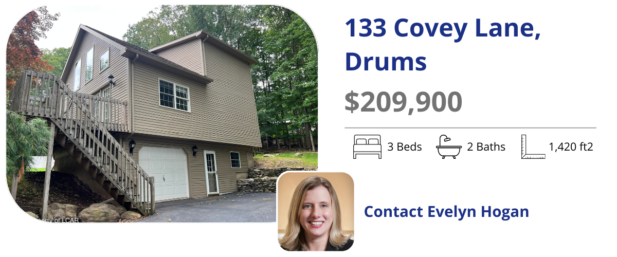 133 covey ln