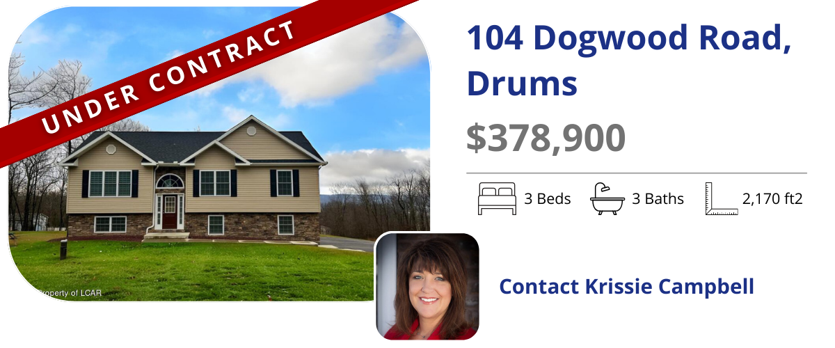 homes for sale in drums