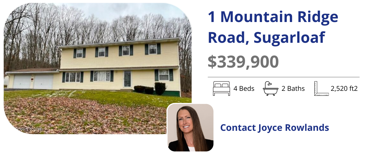 1 mountain ridge road