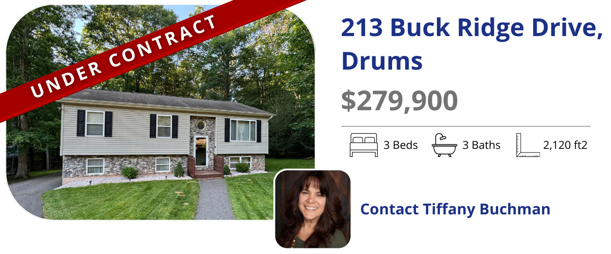 homes for sale in drums