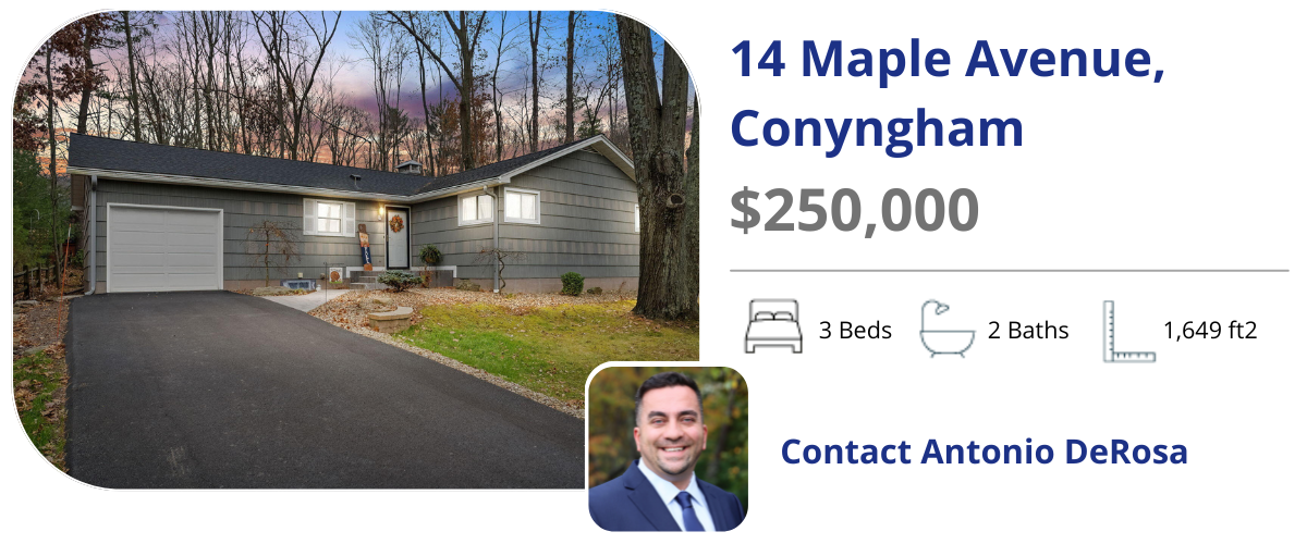 14 maple