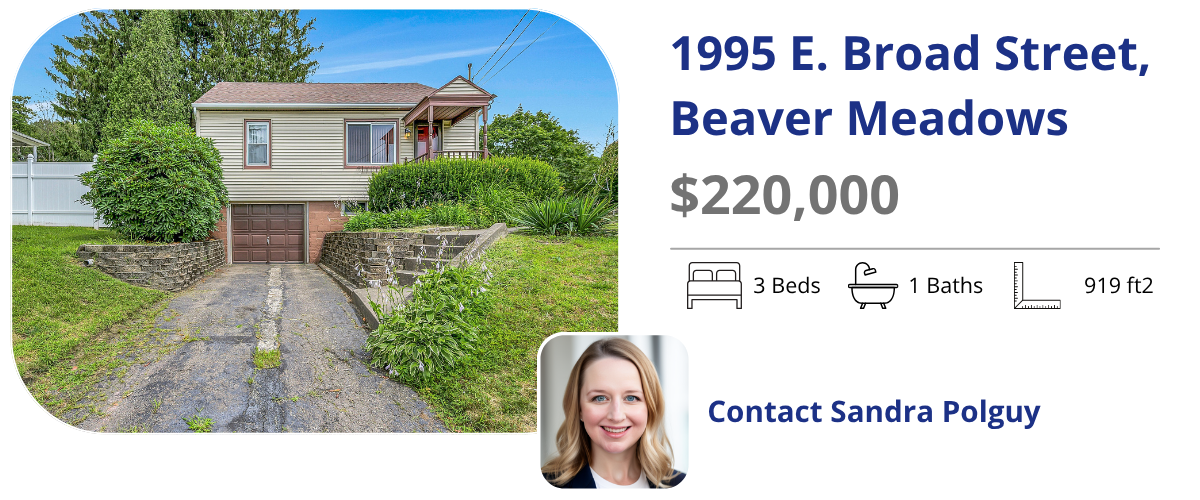 1995 e broad