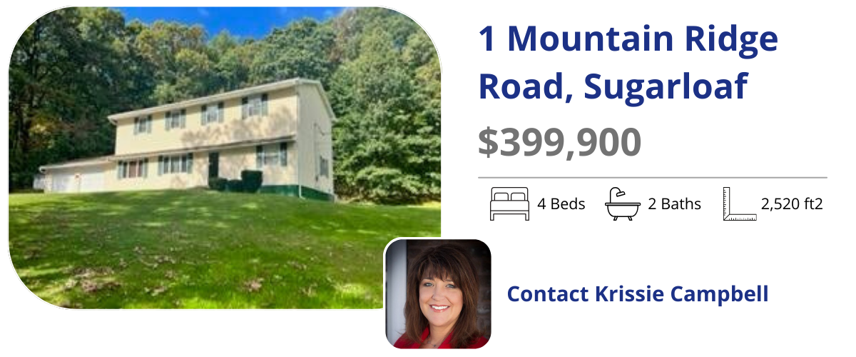 1 mountain ridge rd
