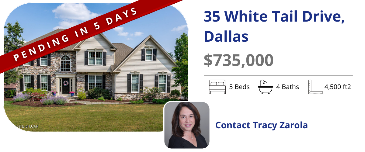 homes for sale in back mountain