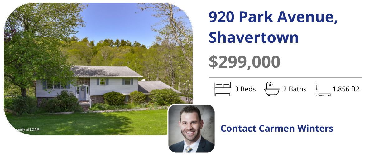 920 park ave shavertown