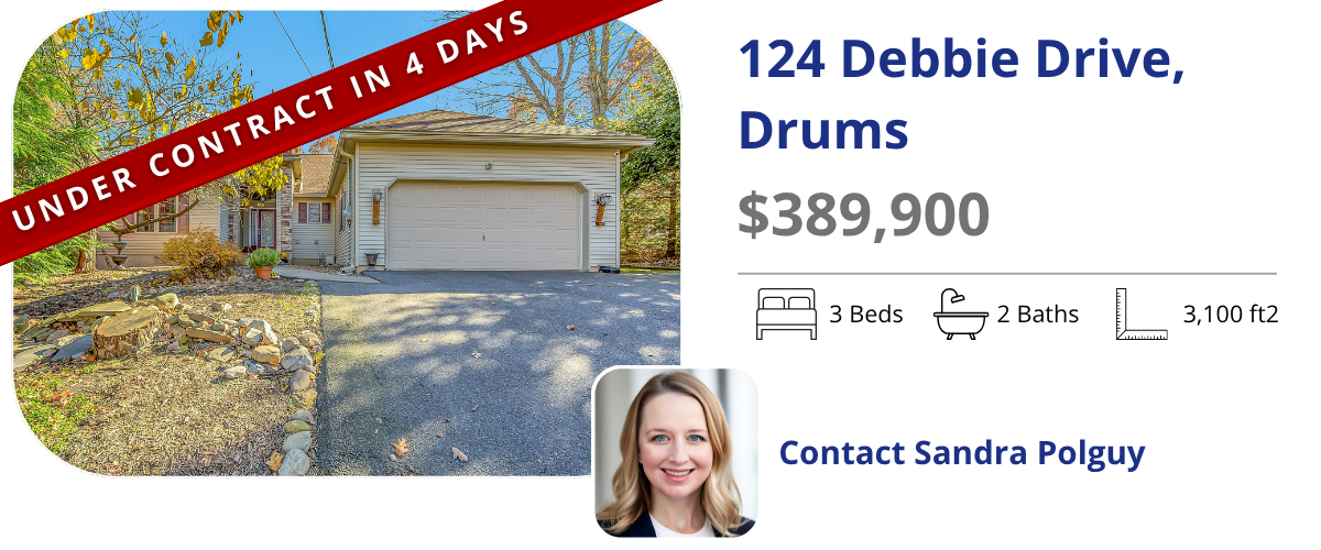 homes for sale in drums