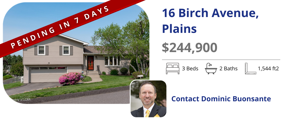 homes for sale in plains