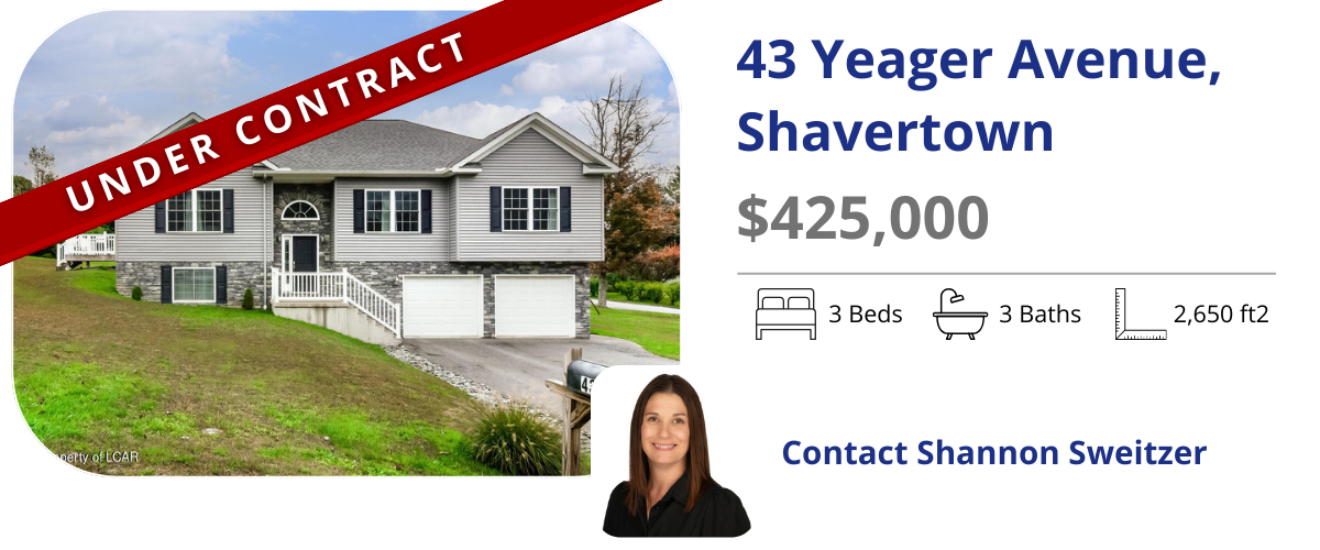 homes for sale in back mountain
