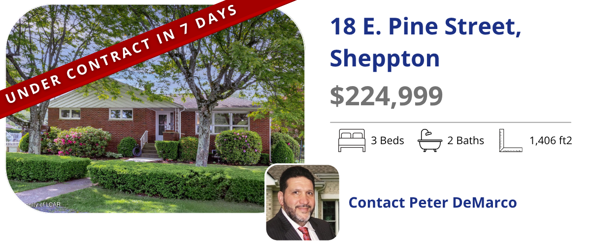 homes for sale in sheppton