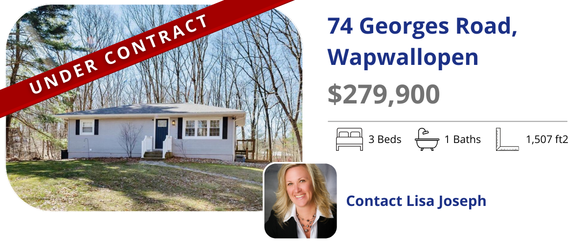 homes for sale in wapwallopen