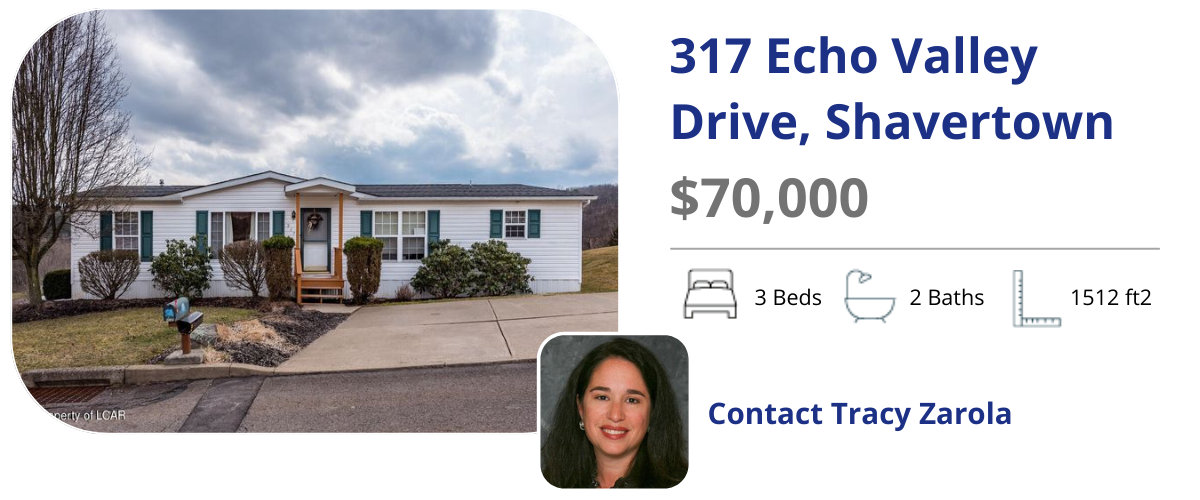 317 echo valley