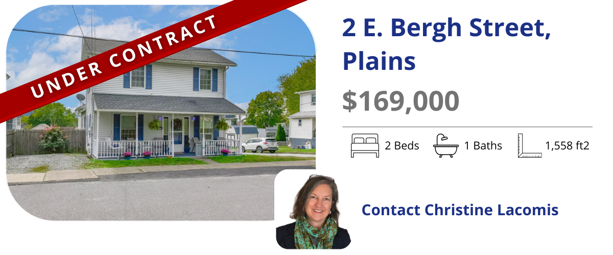 homes for sale in plains