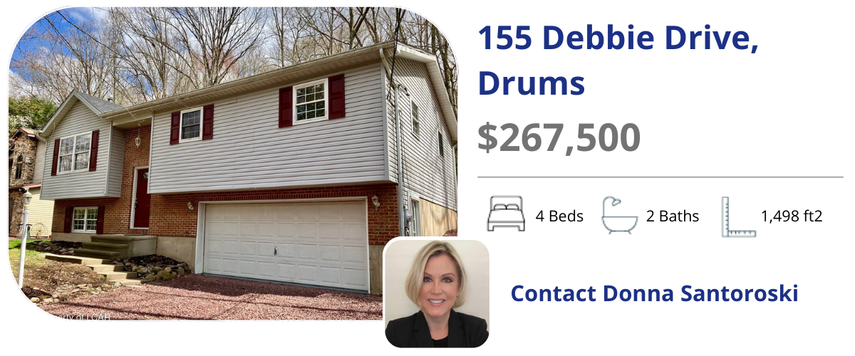 155 Debbie dr