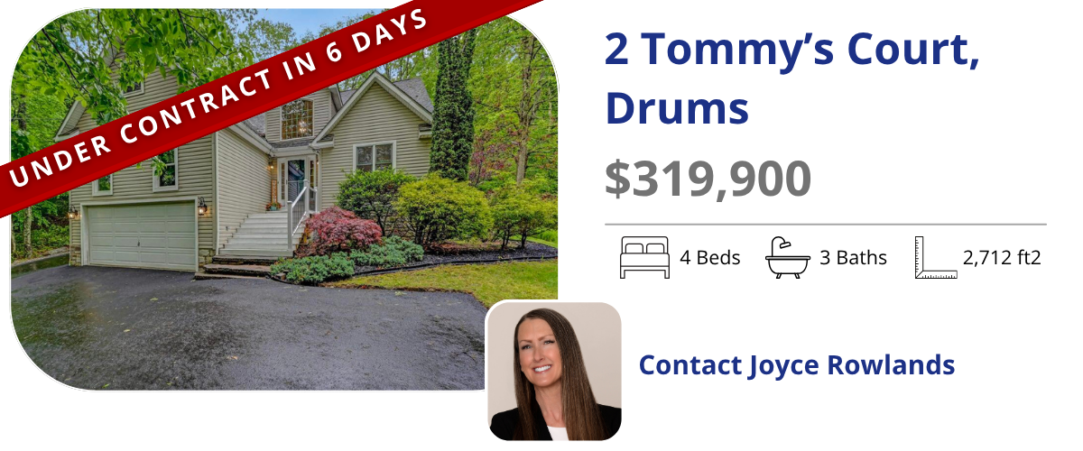 homes for sale in drums
