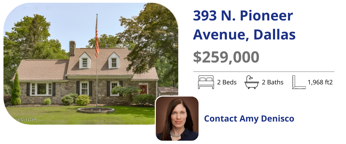 393 n pioneer ave
