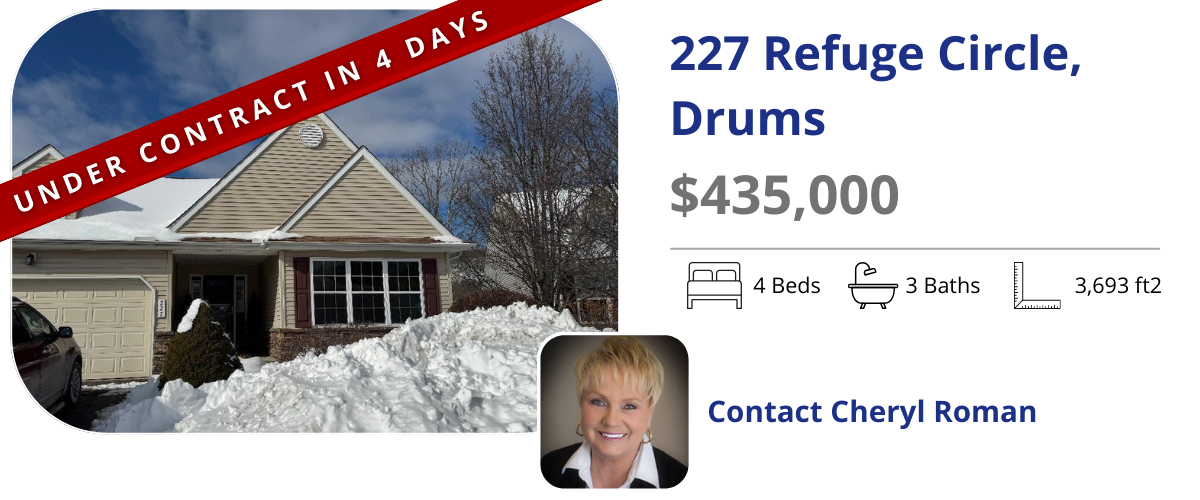 homes for sale in drums
