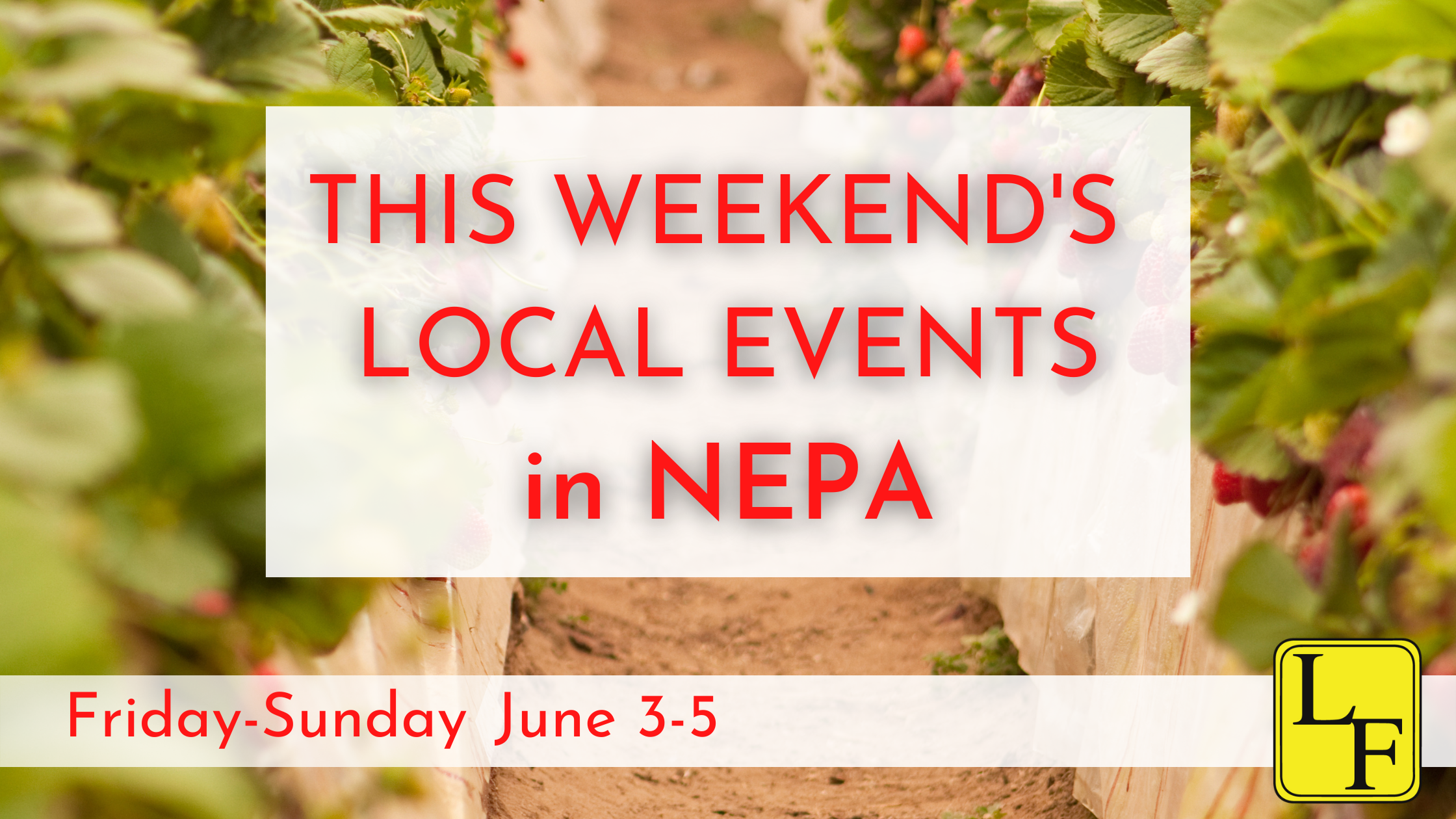 weekend events