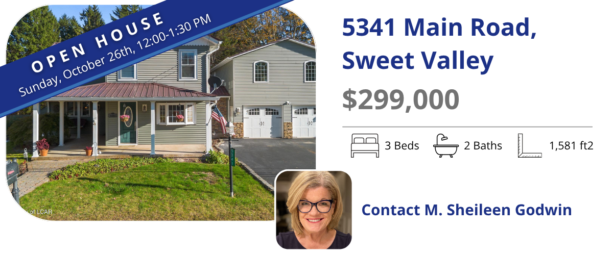 5341 main road
