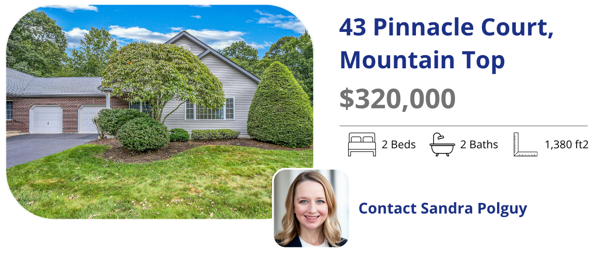 43 pinnacle court