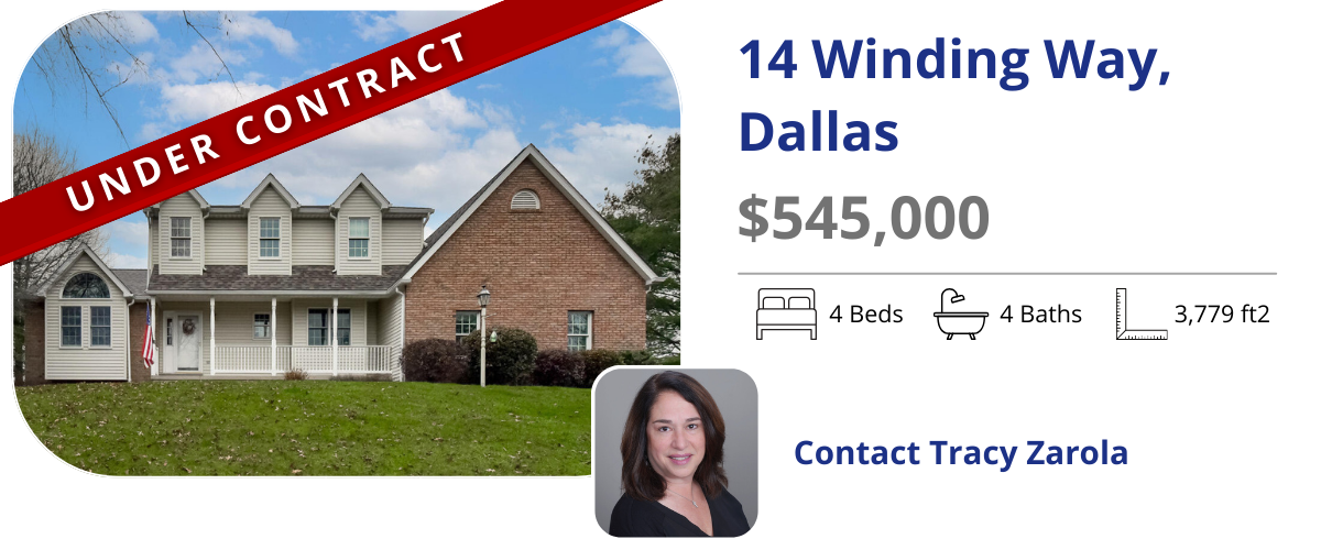 homes for sale in back mountain