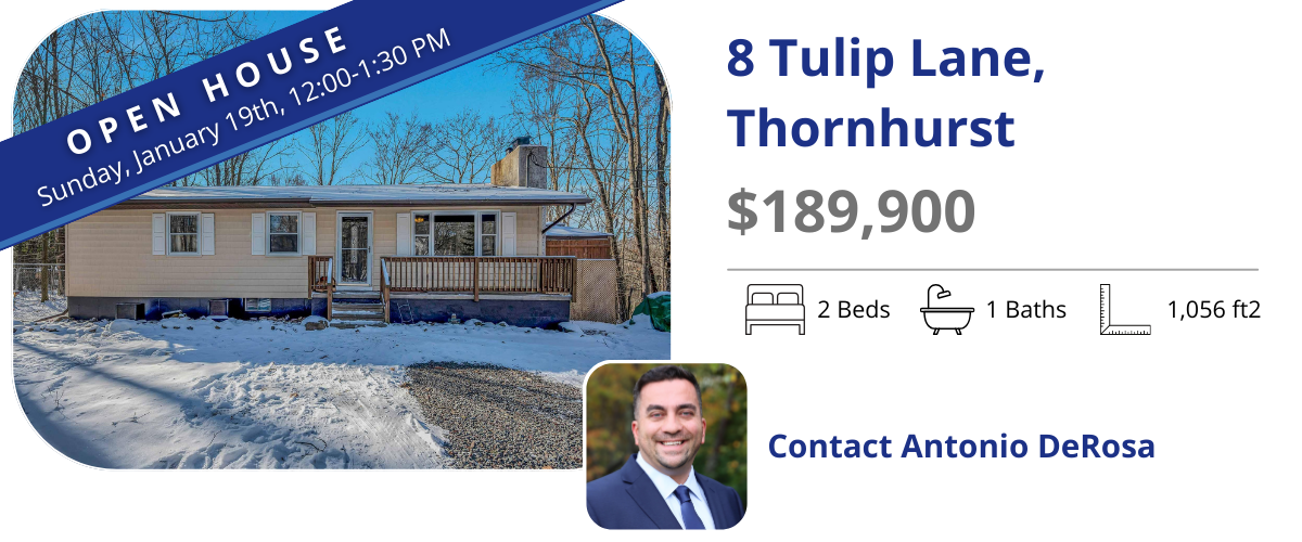 8 tulip lane