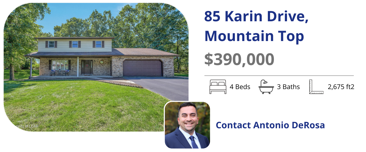 85 karin dr