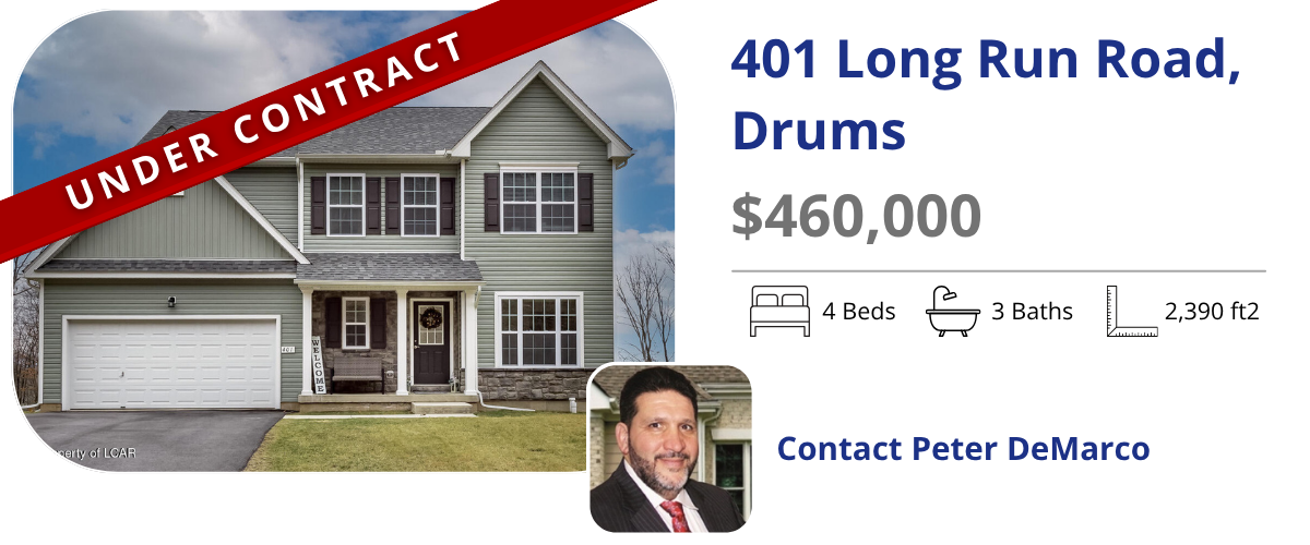 homes for sale in drums