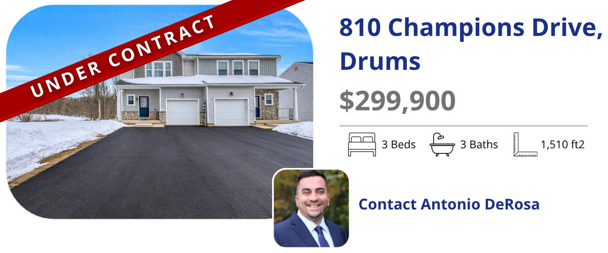 homes for sale in drums