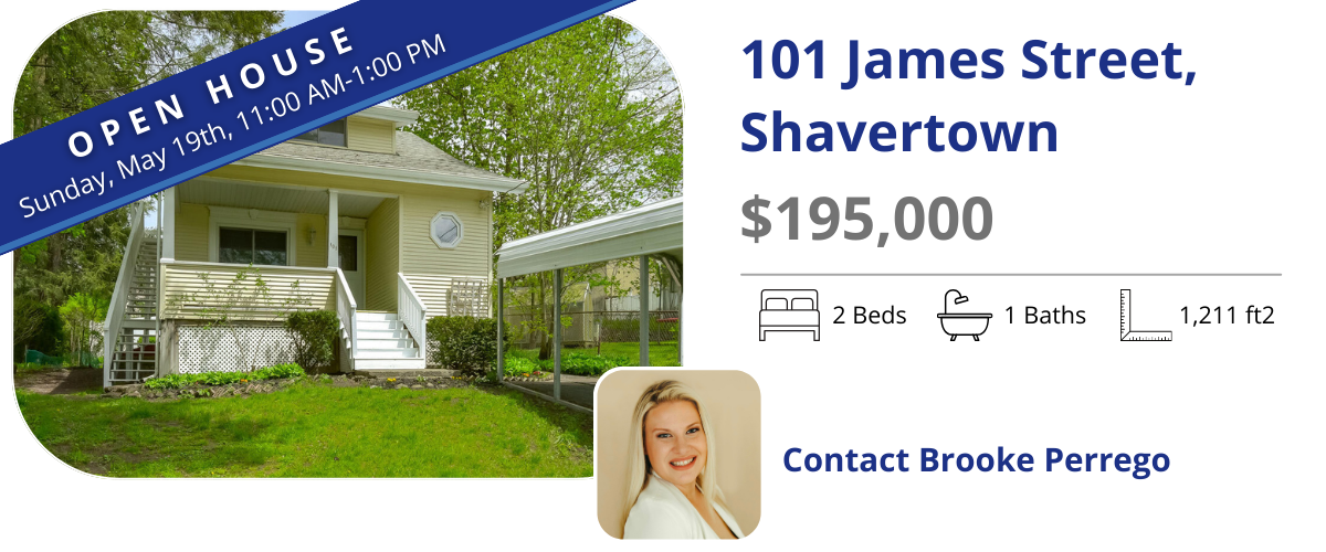 101 james st shavertown
