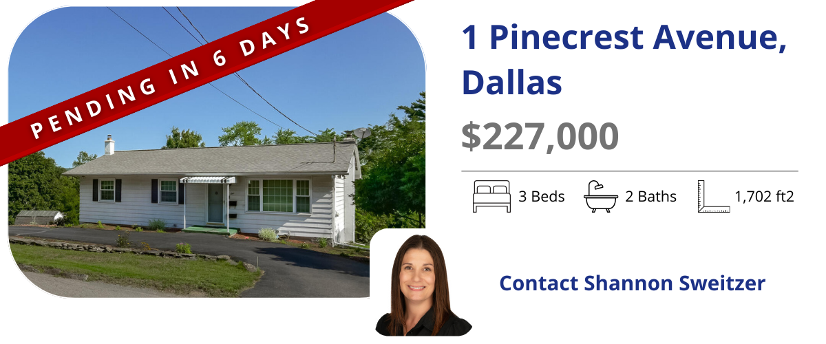 homes for sale in back mountain