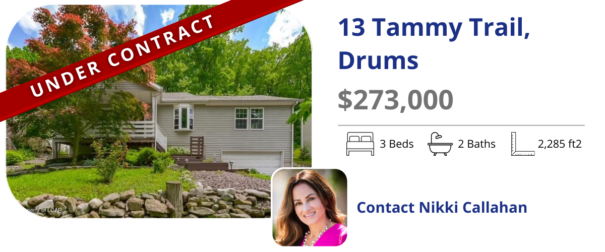 homes for sale in drums