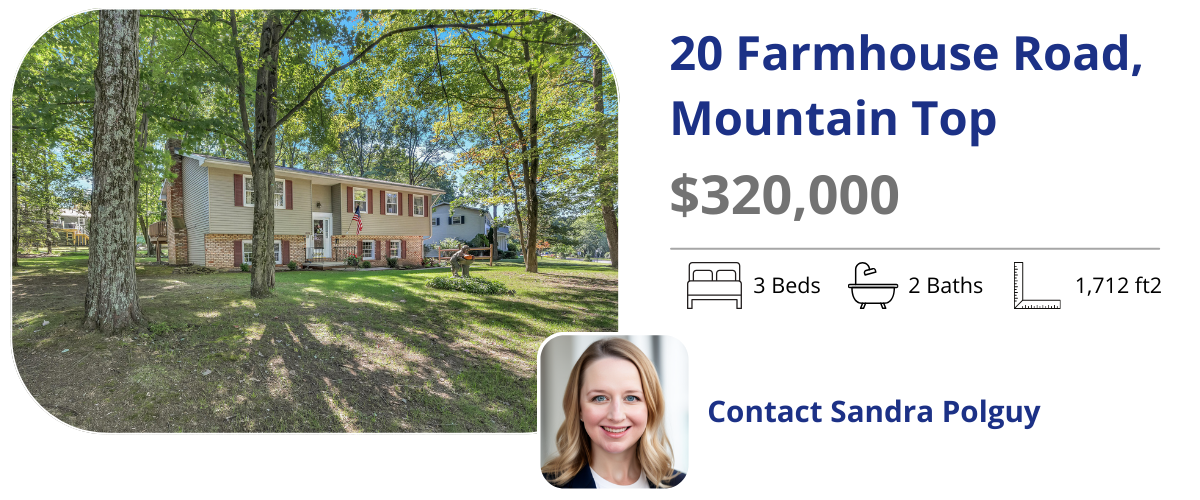 20 farmhouse road mountain top