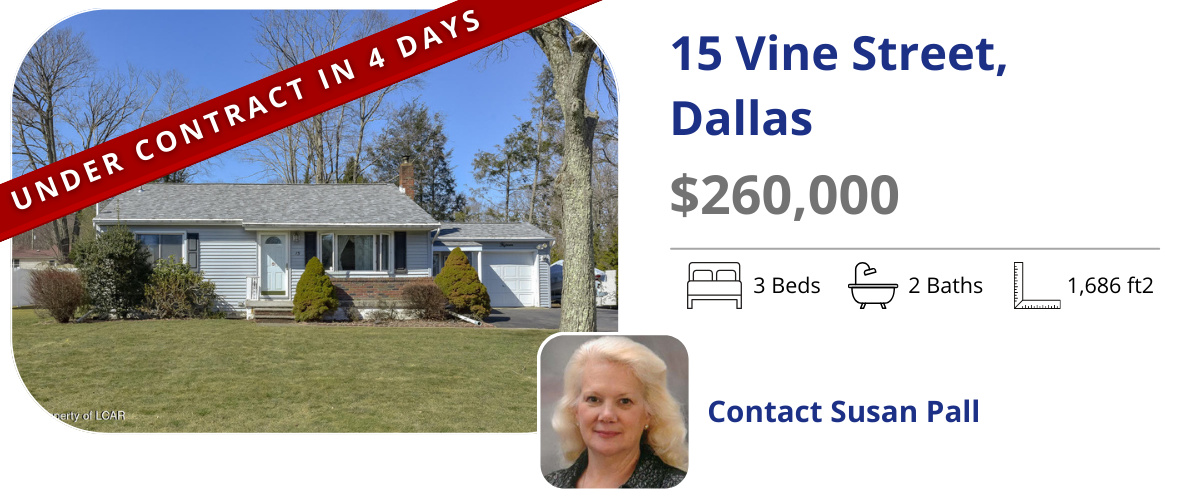 homes for sale in back mountain