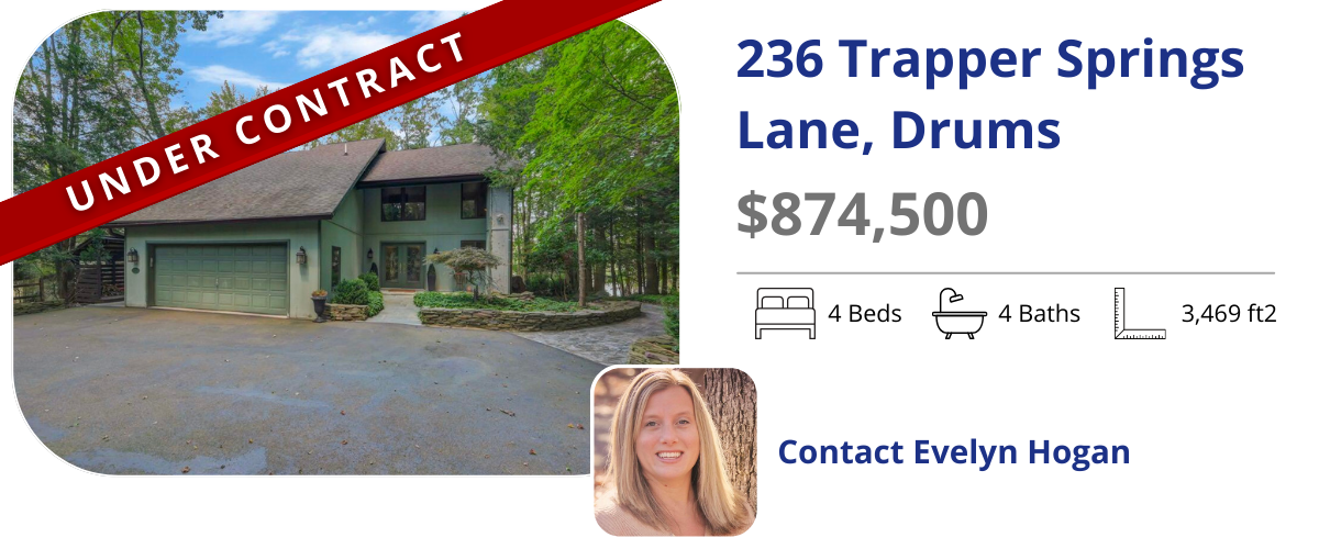 homes for sale in drums