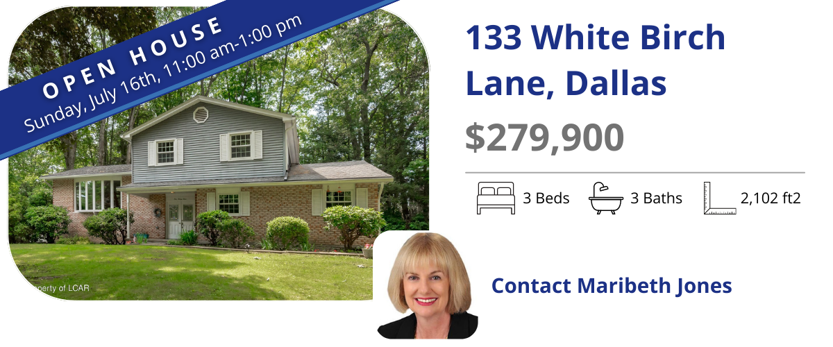 133 white birch ln