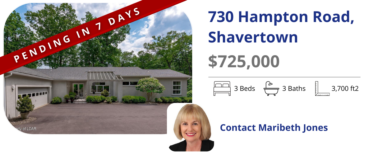 homes for sale in back mountain