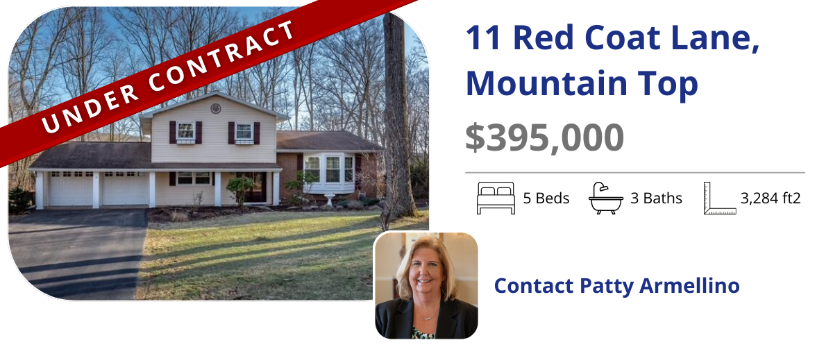 homes for sale in mountain top