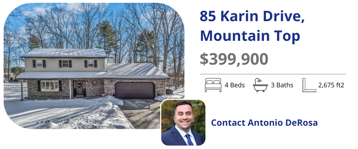 85 karin dr