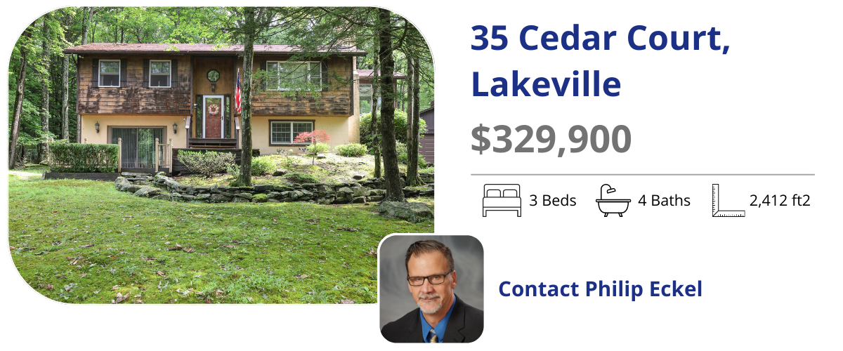 35 cedar ct lakeville