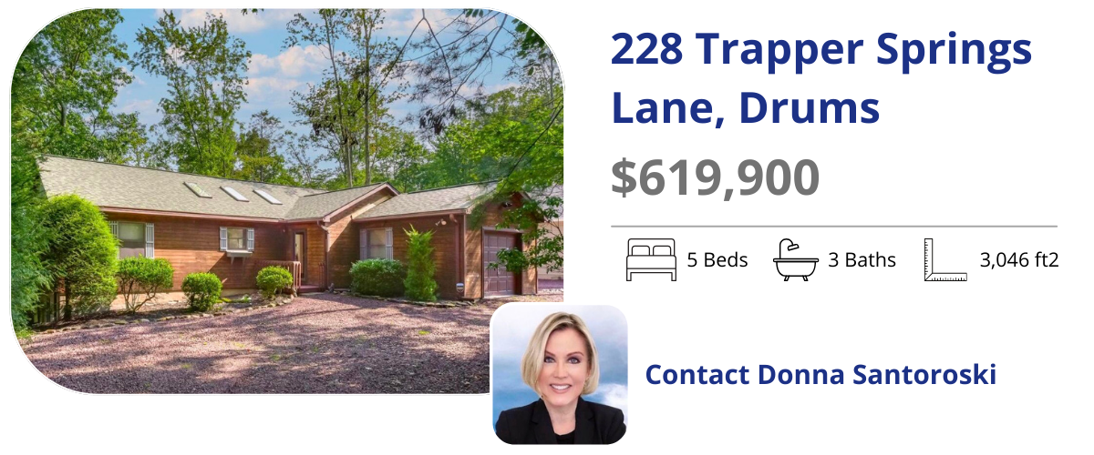 228 trapper springs