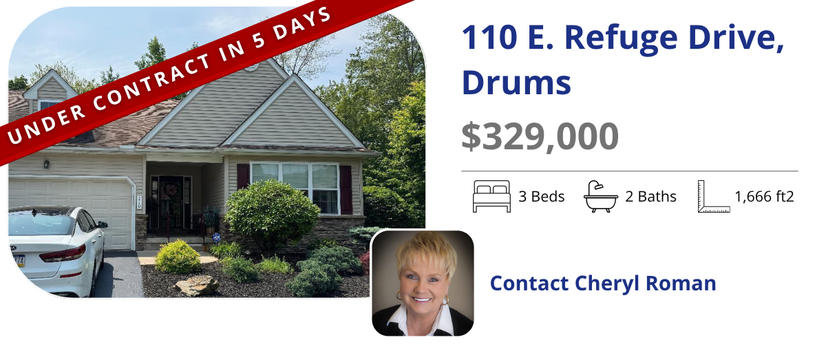 homes for sale in drums