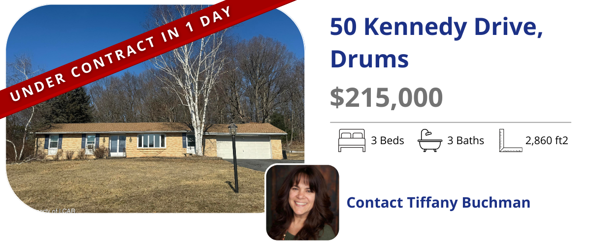 homes for sale in drums