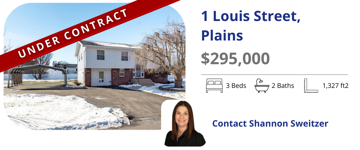 homes for sale in plains