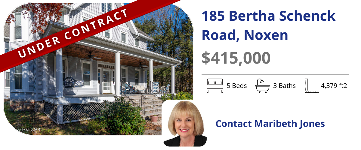 homes for sale in noxen