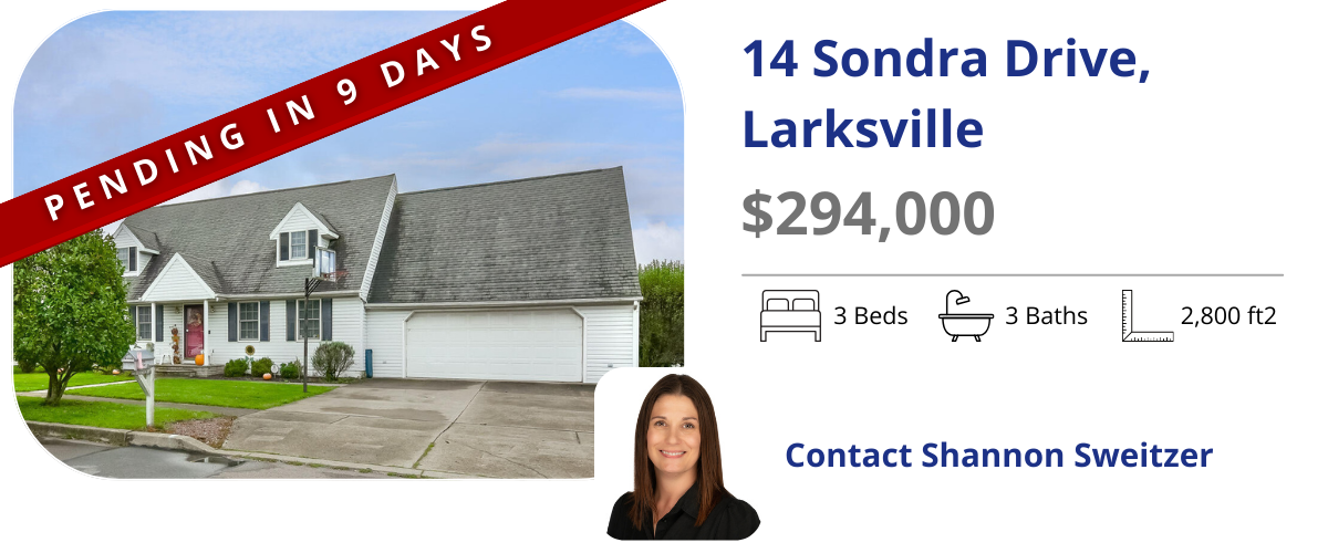 homes for sale in larksville