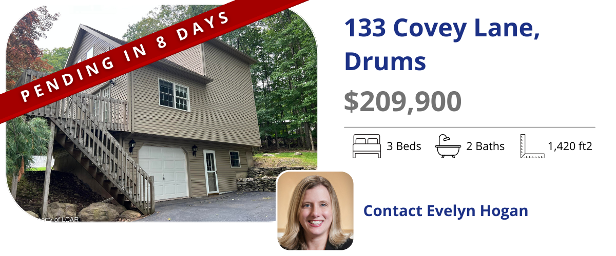 homes for sale in drums