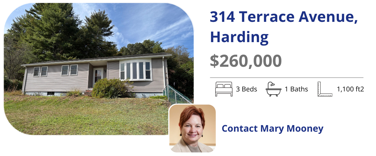 314 terrace ave