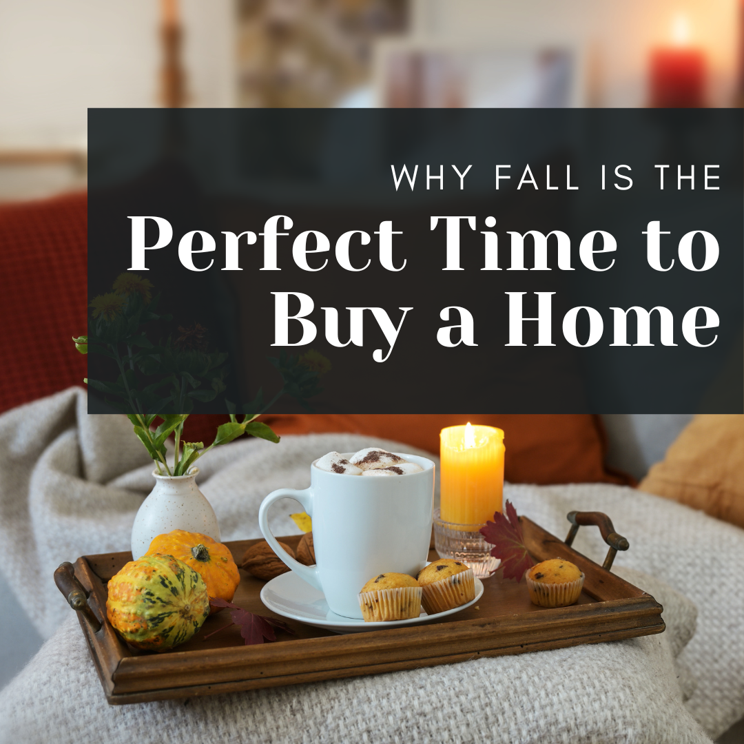 buy in fall blog