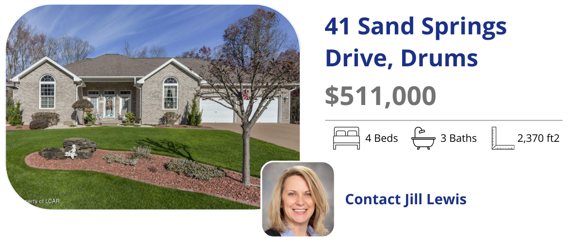 41 sand springs drive drums