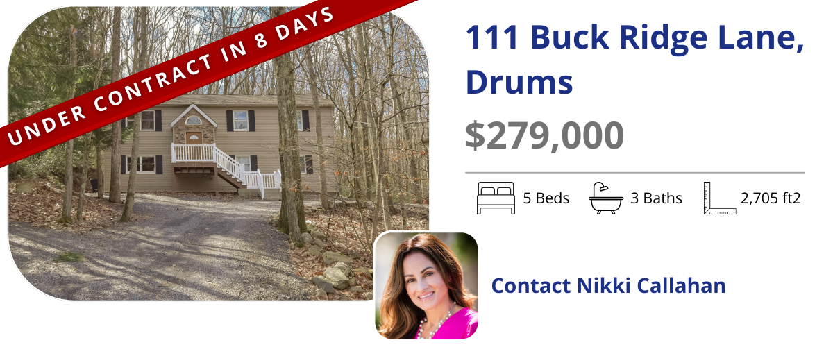 homes for sale in drums